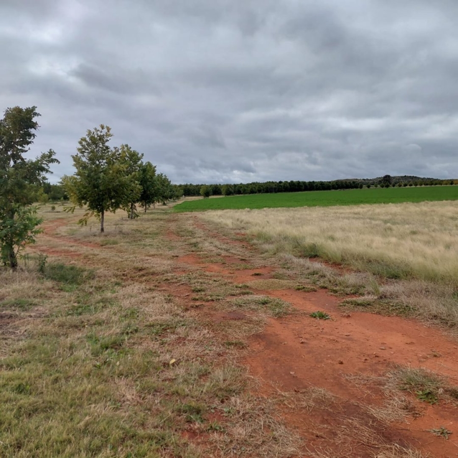 Commercial Property for Sale in Warrenton Northern Cape